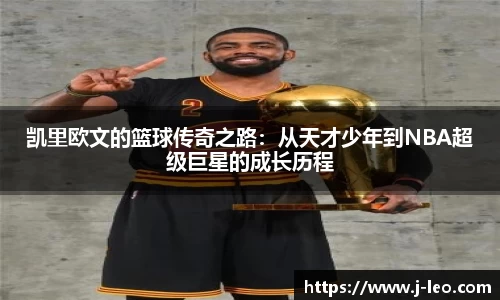 emc易倍官网
